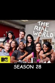 The Real World: Season 28