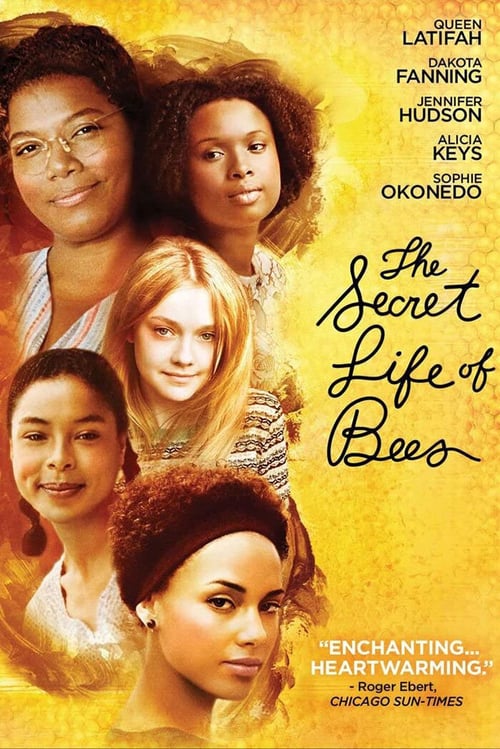 The Secret Life of Bees BrokenSilenze