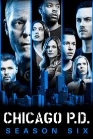 Chicago P.D.: Season 6
