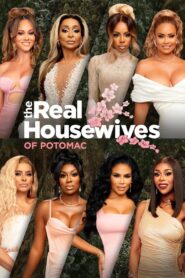 The Real Housewives of Potomac: Season 8