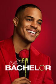 The Bachelor: Season 29